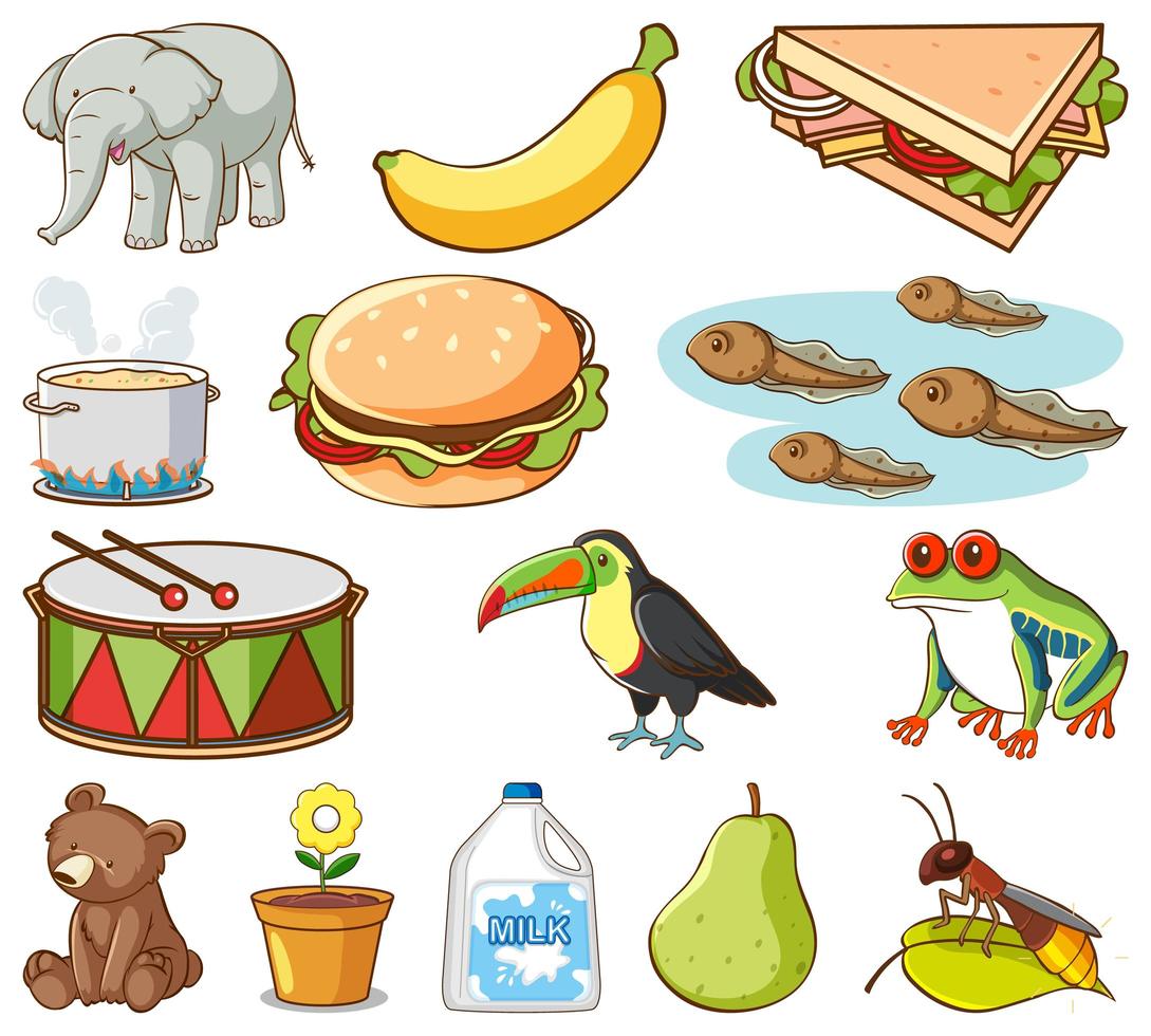 Large set of different animals and other objects on white background vector