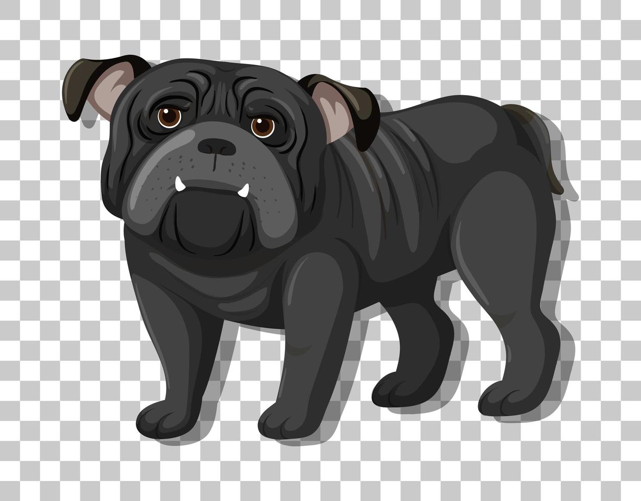 Bulldog negro en posición de pie personaje de dibujos animados aislado sobre fondo transparente vector