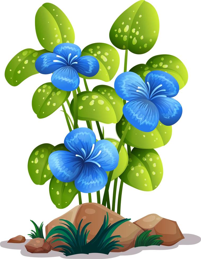 flores azules con hojas sobre fondo blanco vector