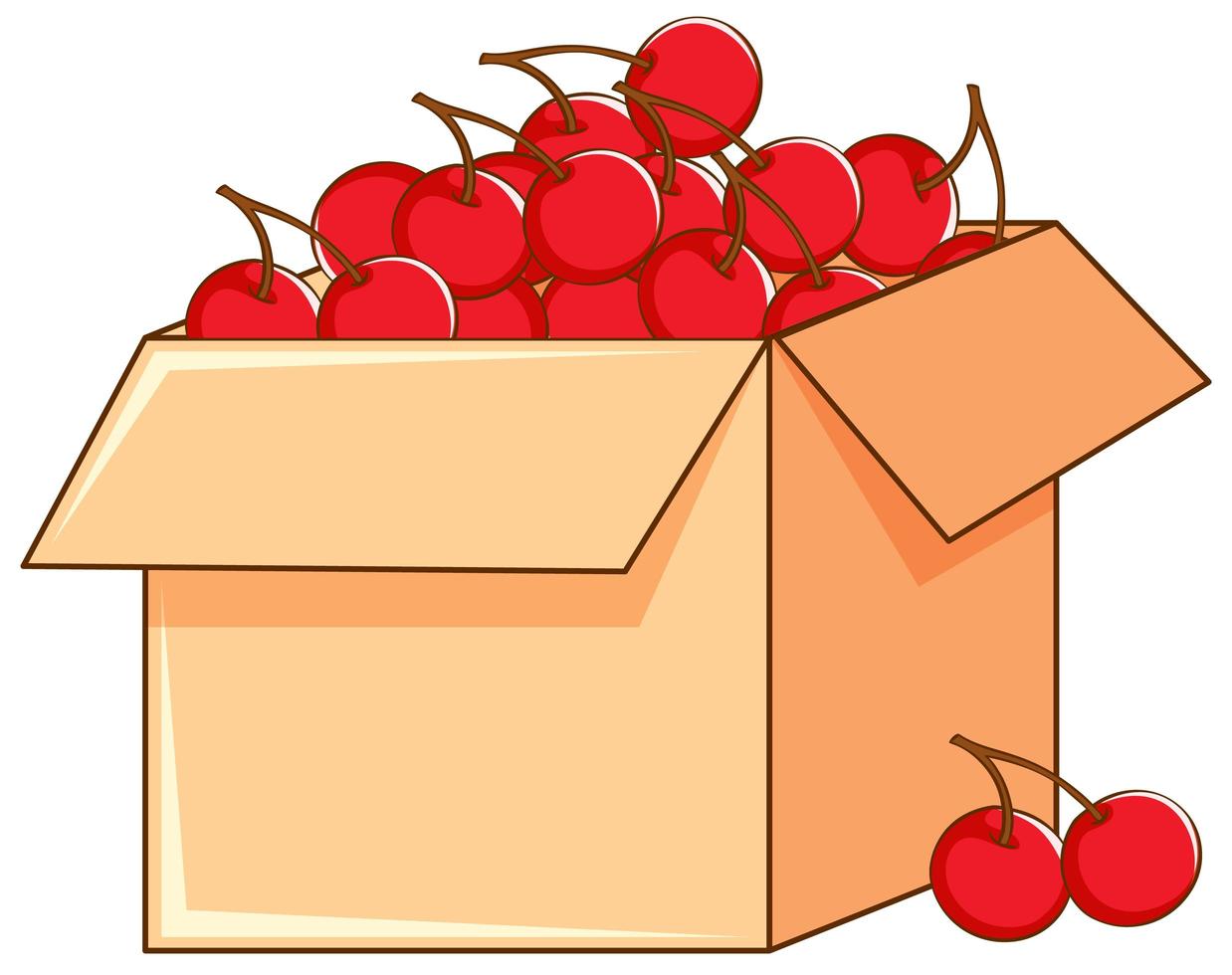 Box of red cherries on white background vector