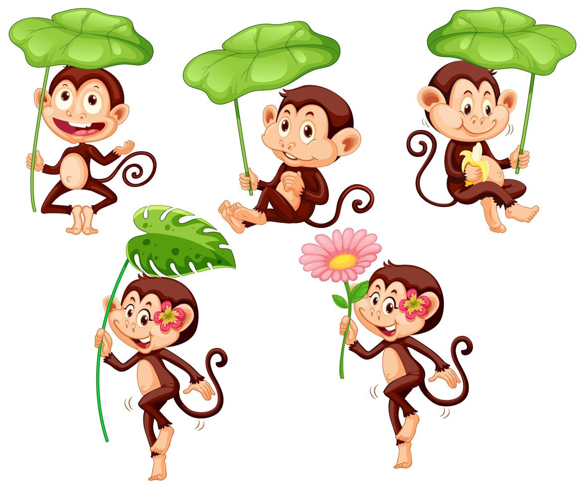 Set of cute monkey with green leaf on white background vector