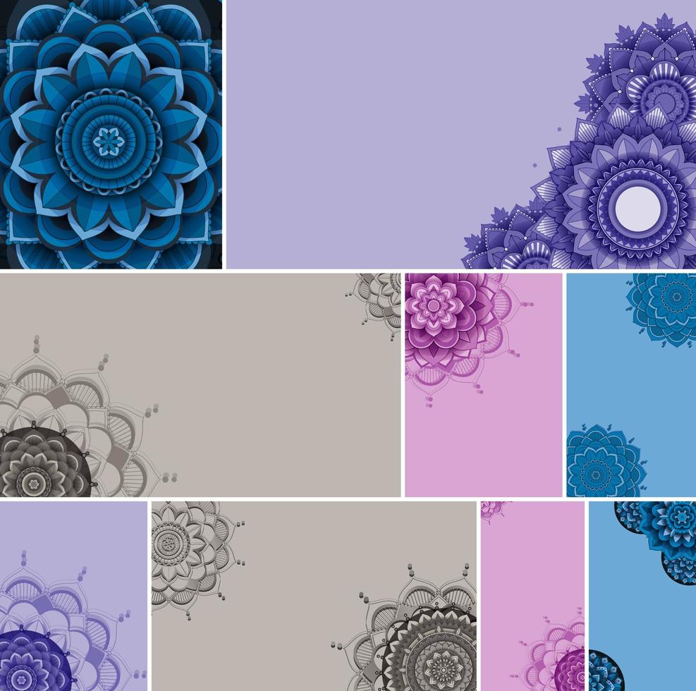Beautiful color mandala background set vector