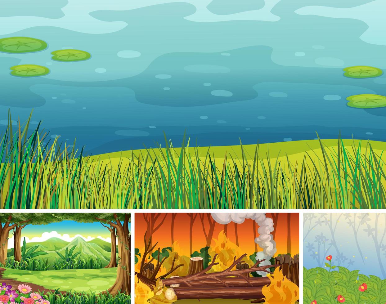 Four different nature scenes vector