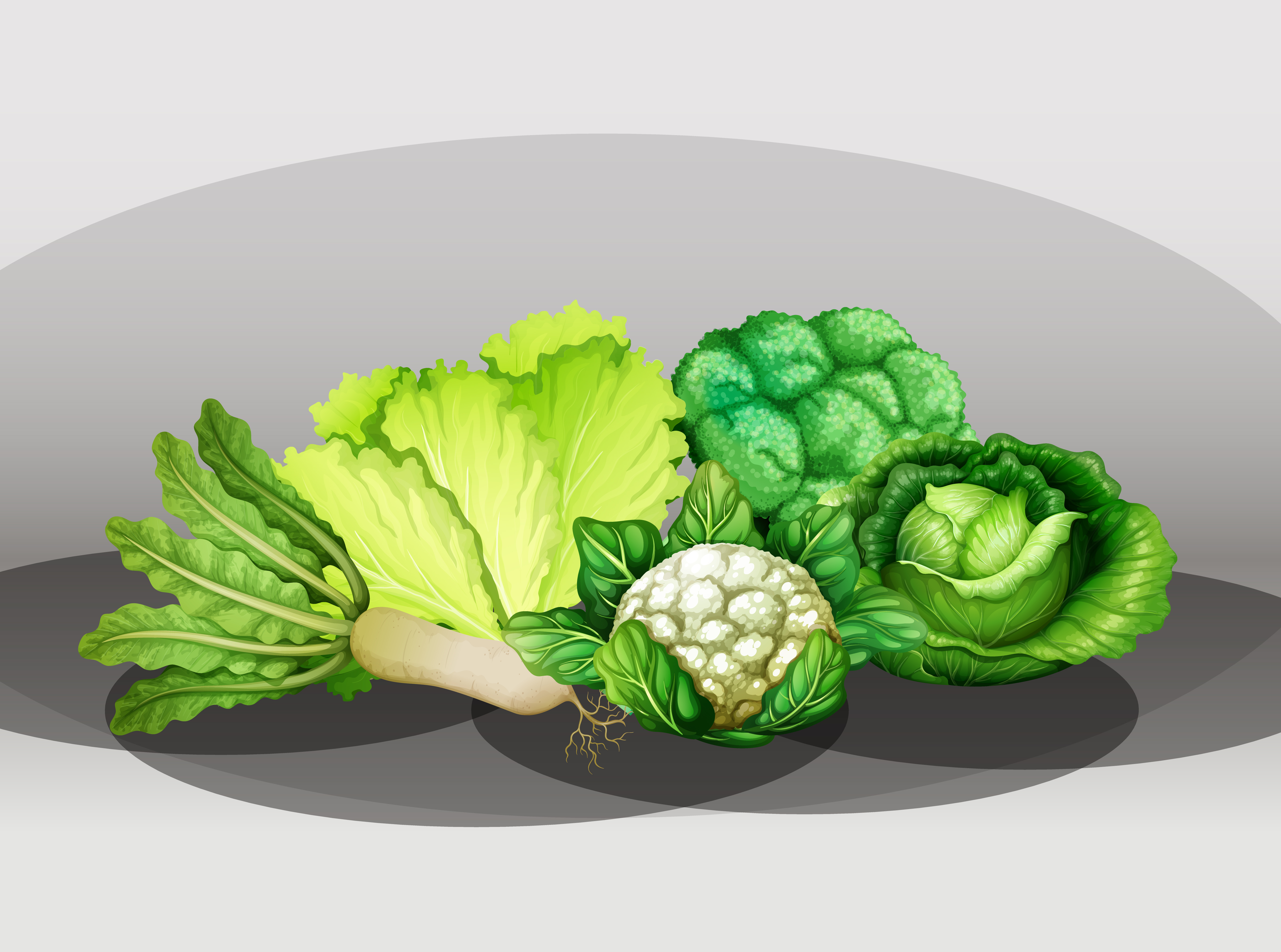Many Different Vegetables In A Group 1446005 Vector Art At Vecteezy