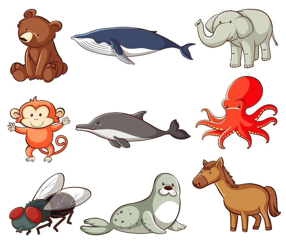 gran conjunto de vida silvestre con muchos tipos de animales. vector