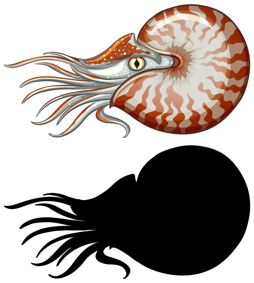 Nautilus character and its silhouette vector