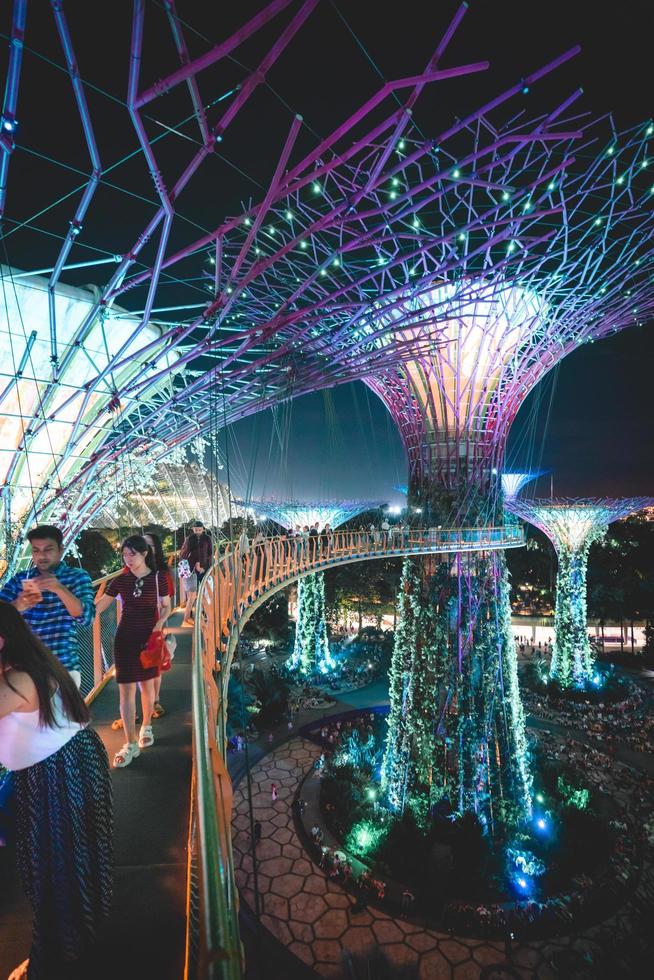 Singapur, 2018: los viajeros abarrotan el jardín de Marina Bay por la noche foto