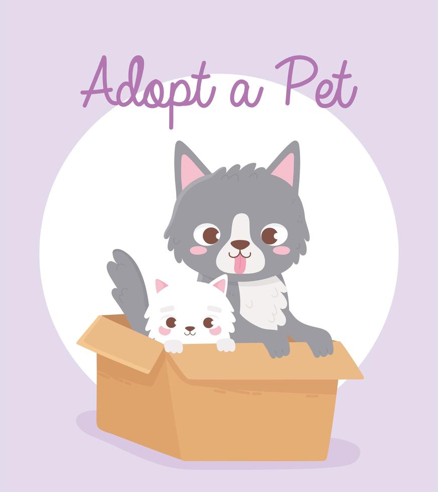 Pet adoption with cute little cats vector