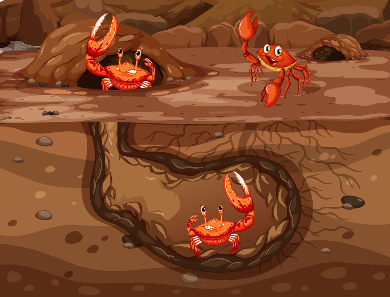 Underground animal hole with many crabs vector