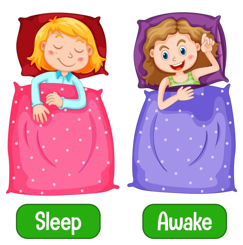 Opposite words with awake and sleep vector