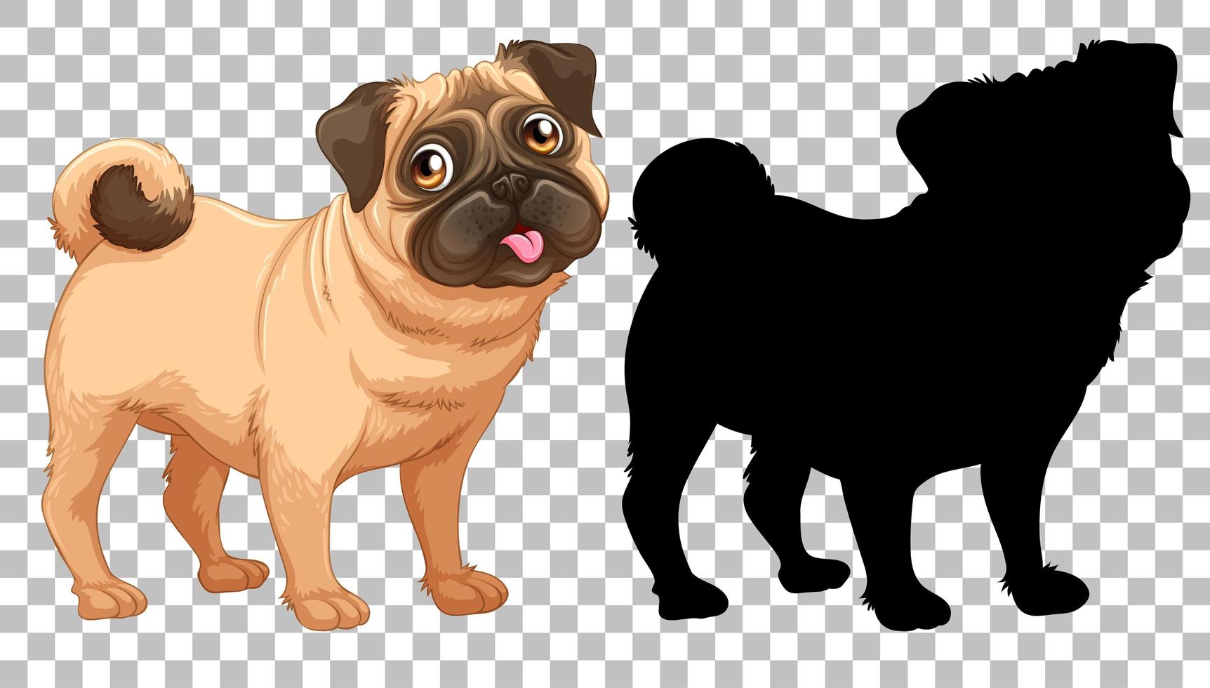 Cute pug dog and its silhouette on transparent background vector