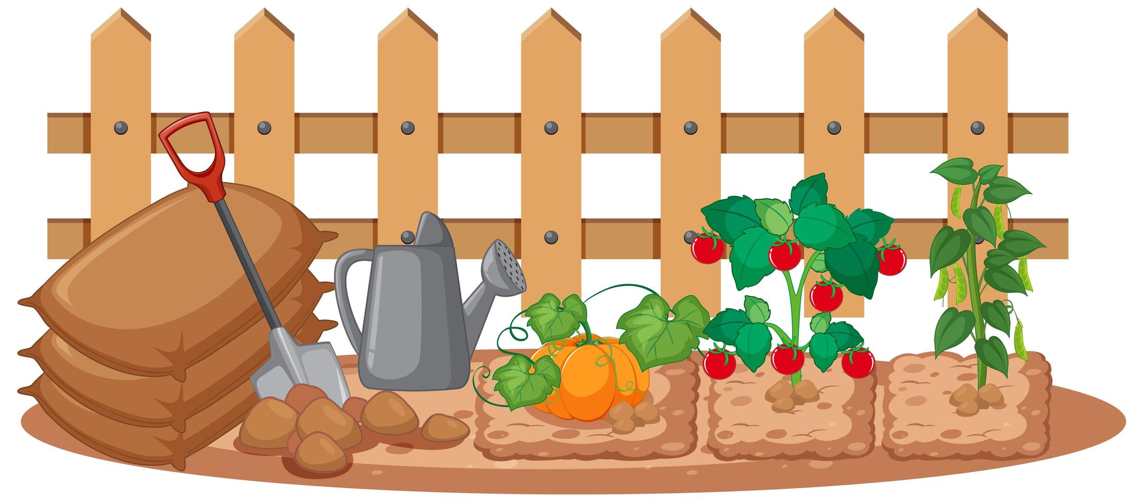 Vegetables growing in the garden on white background vector