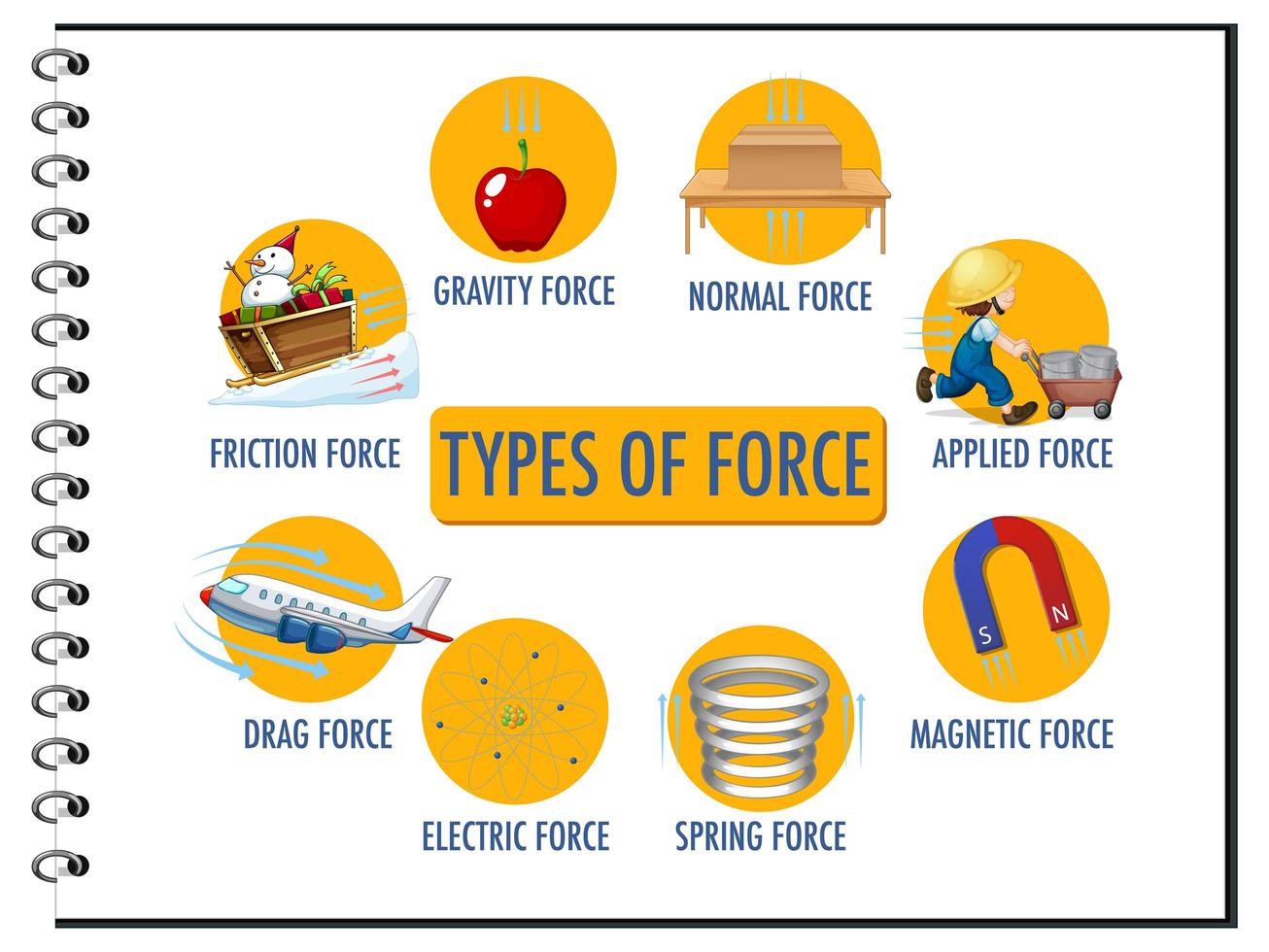 tipos de fuerza para niños póster educativo de física vector