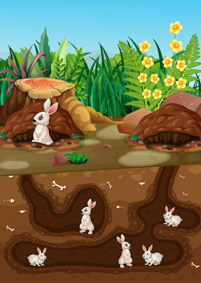 Underground animal hole with many white rabbits vector