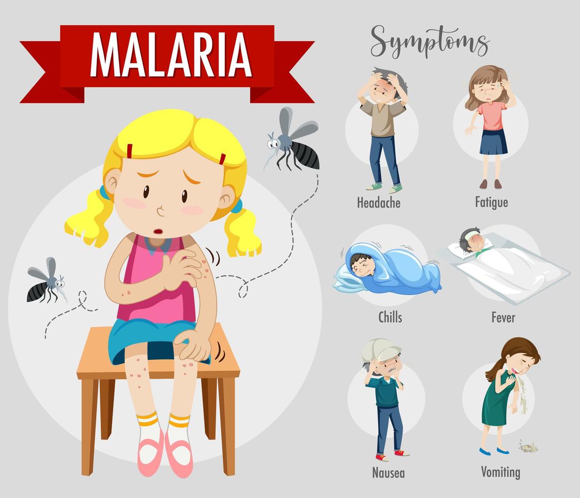 Malaria symptom information infographic vector