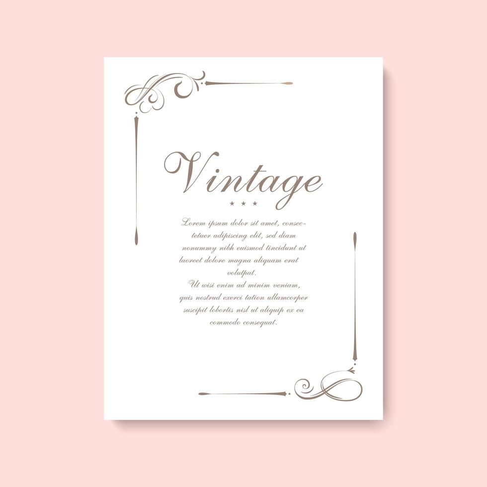 Decorative vintage page divider vector