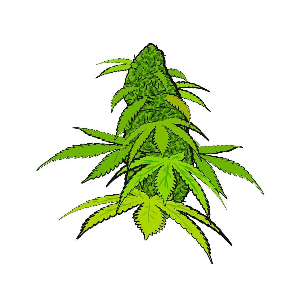 Green bright cannabis flower in a hand-drawn style vector