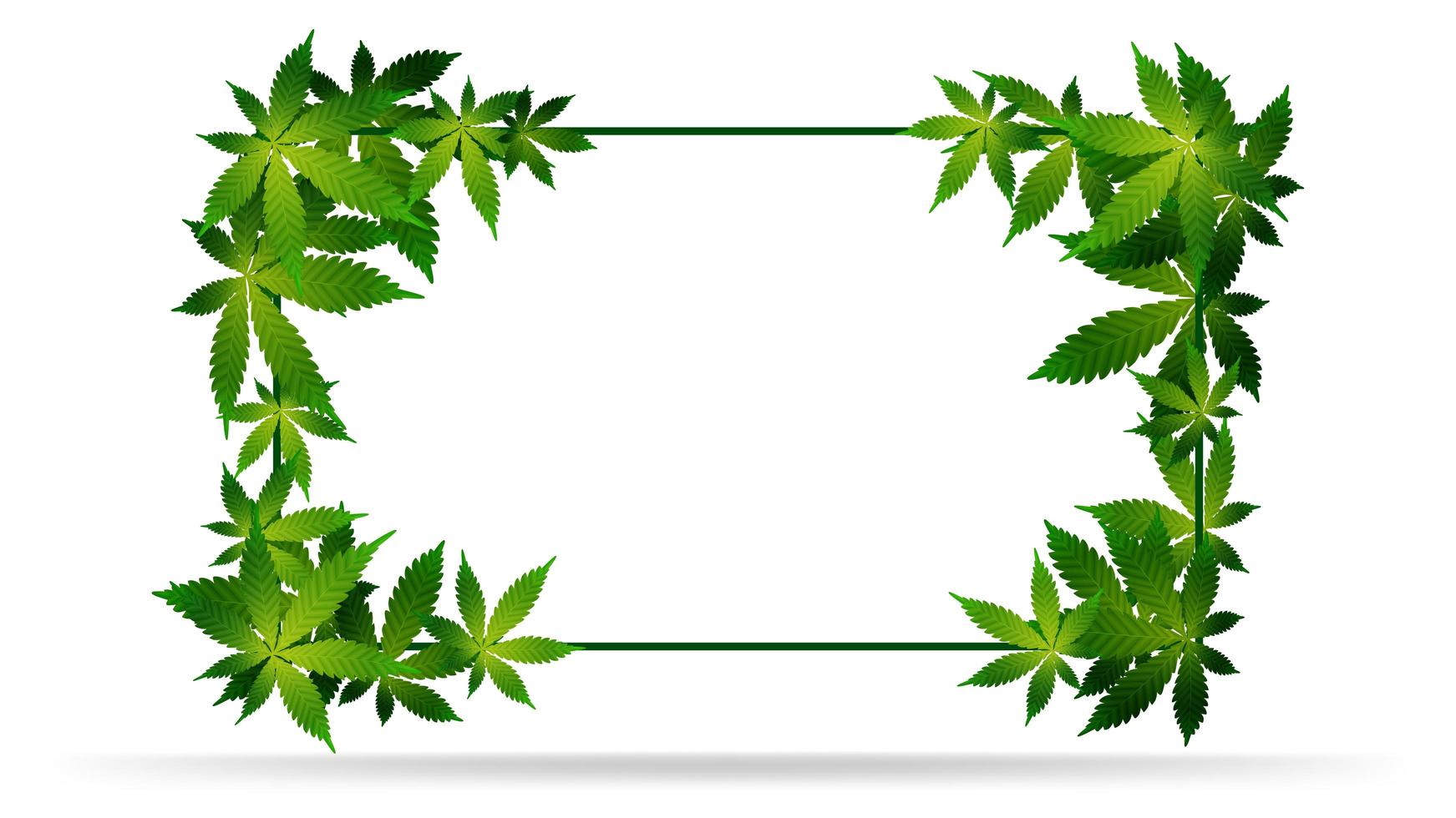 Frame of green cannabis leaves. vector