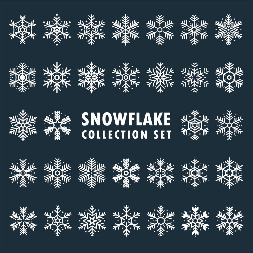 Beautiful snowflake design collection vector