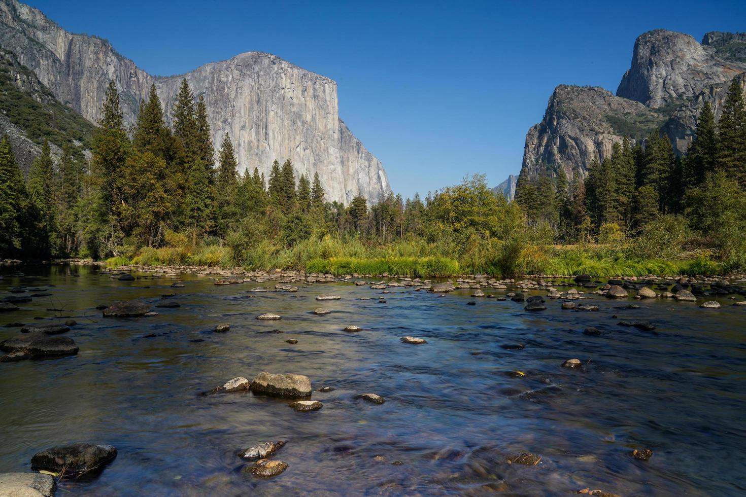 río en el bosque cerca de formaciones rocosas foto