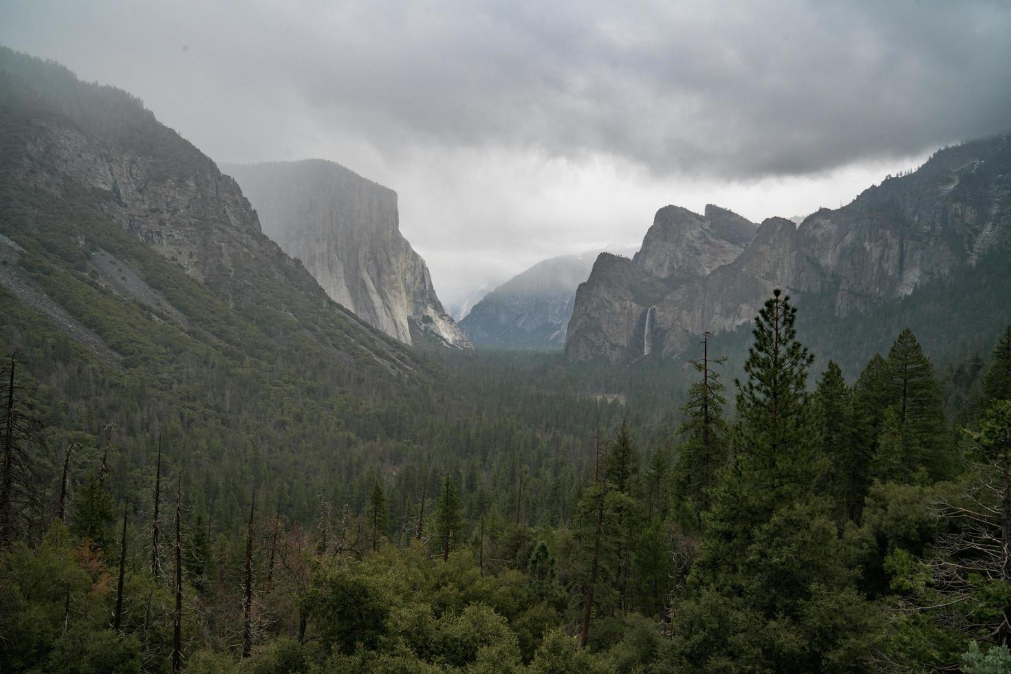 árboles verdes cerca de la montaña bajo un cielo blanco durante el día foto