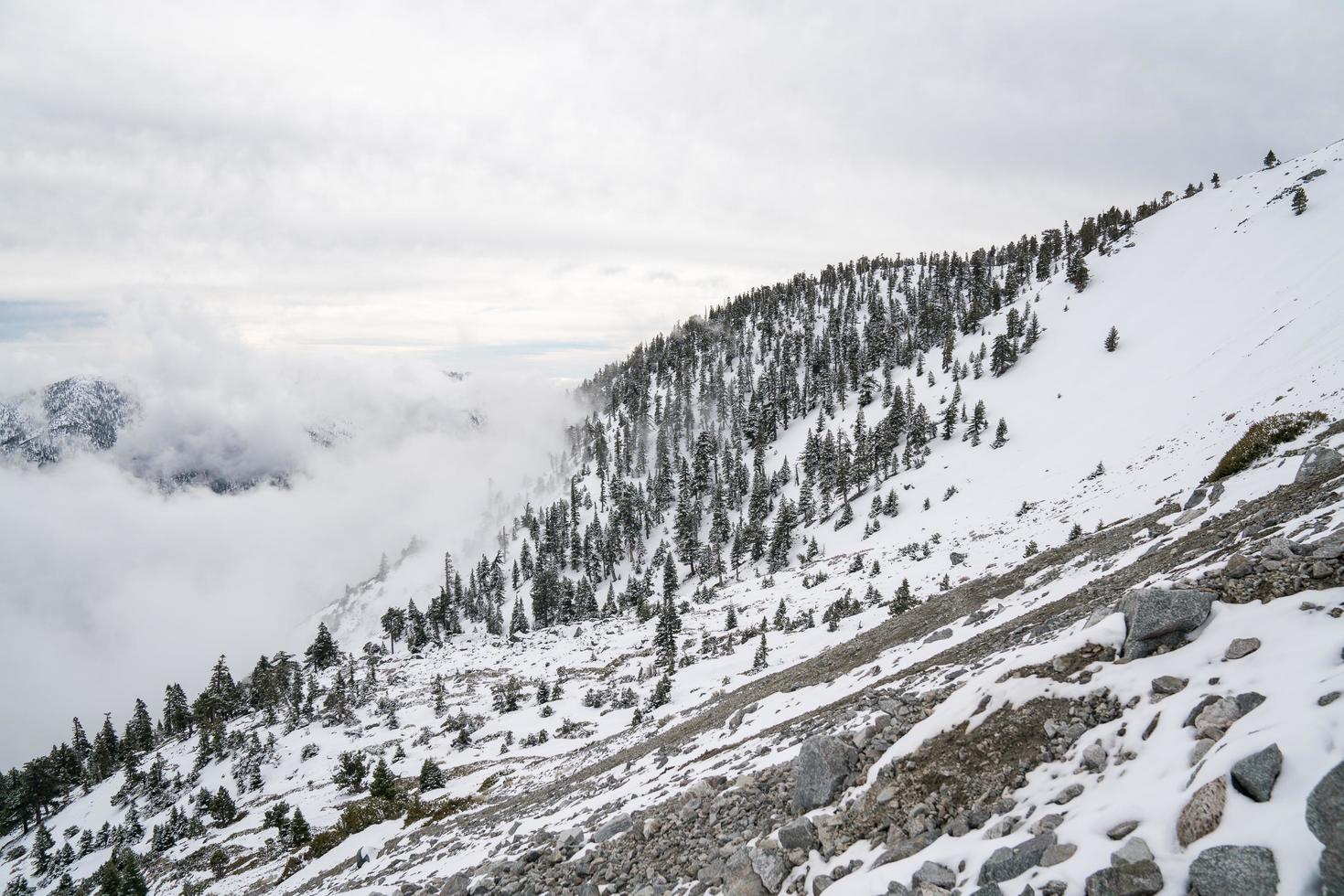 montaña invernal de california foto