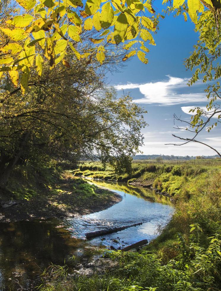 río rodeado de árboles en un día soleado foto