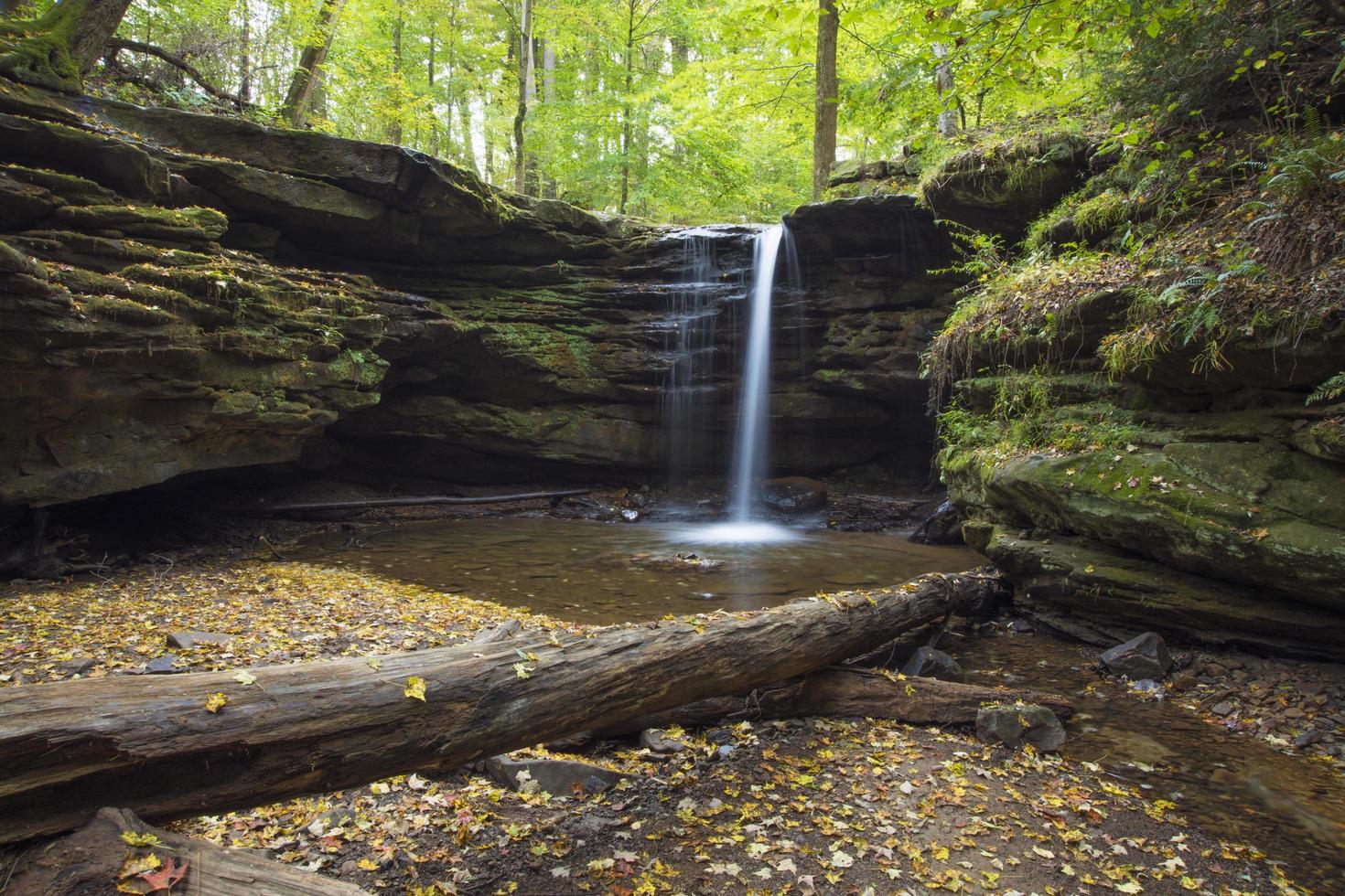 Waterfalls surrounded by trees at daytime photo