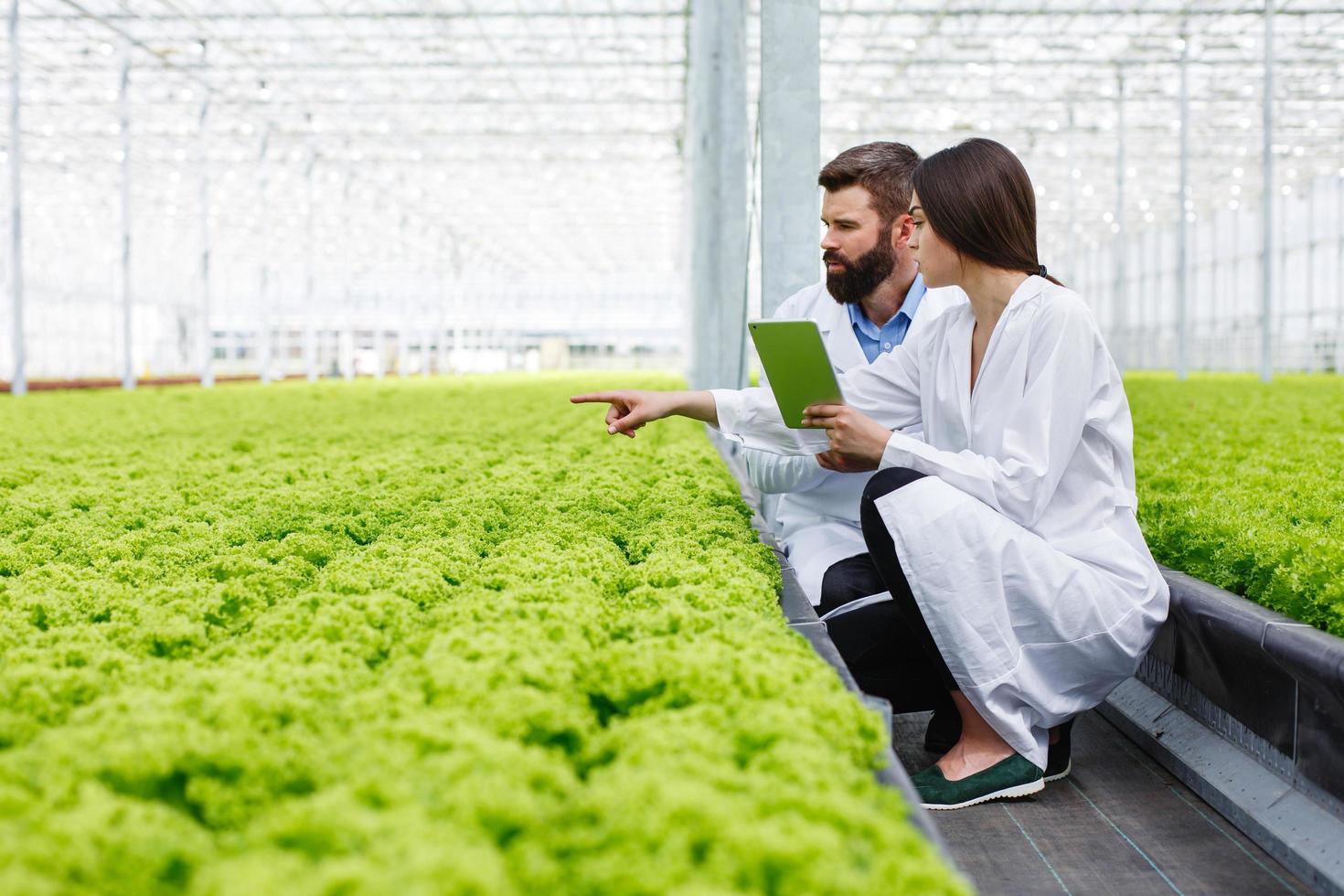 Two researchers in the green house photo