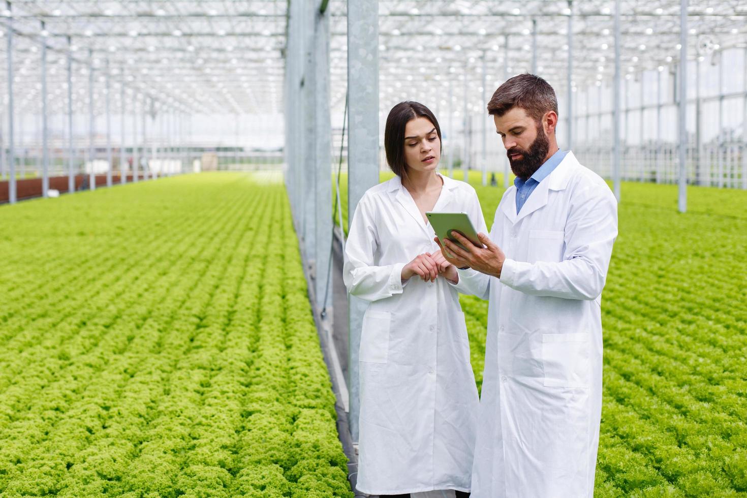 Two scientists collecting data in a green house photo