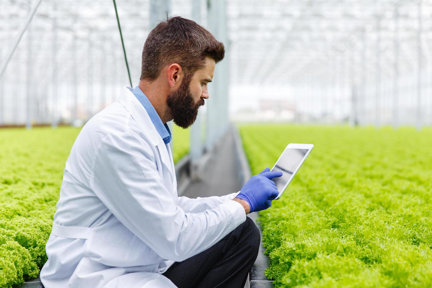 Scientist using tablet photo