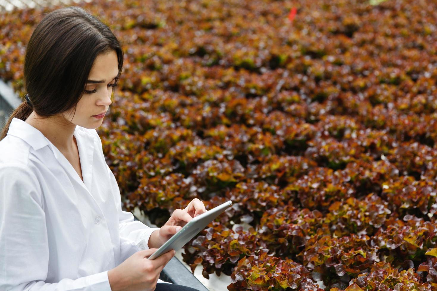 Woman in white laboratory robe examines salad photo