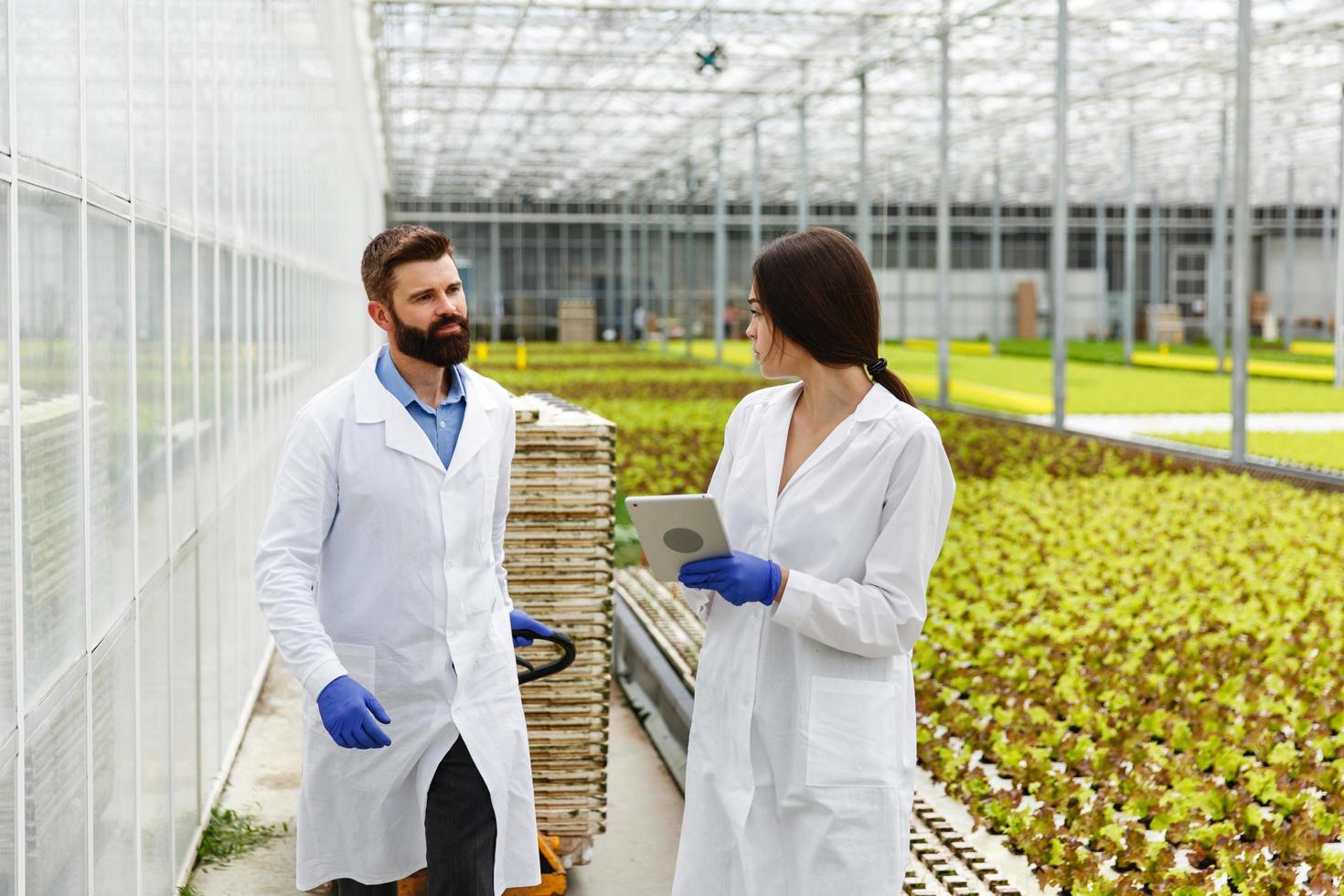 Two researchers in laboratory robes walk around the greenhouse with a tablet photo