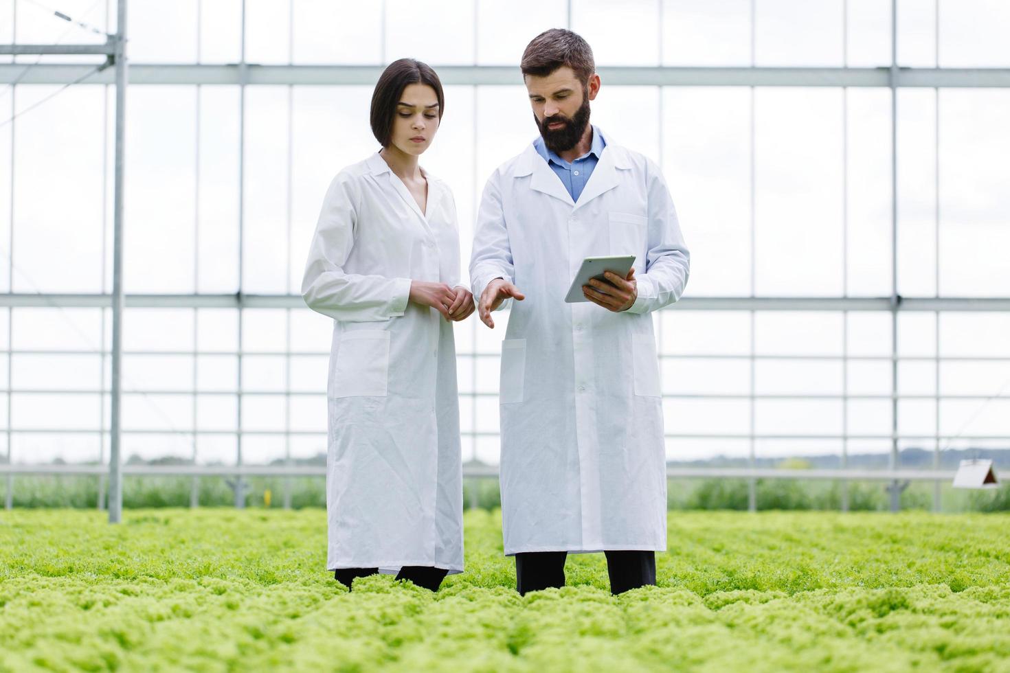 Scientists discussing the green house photo