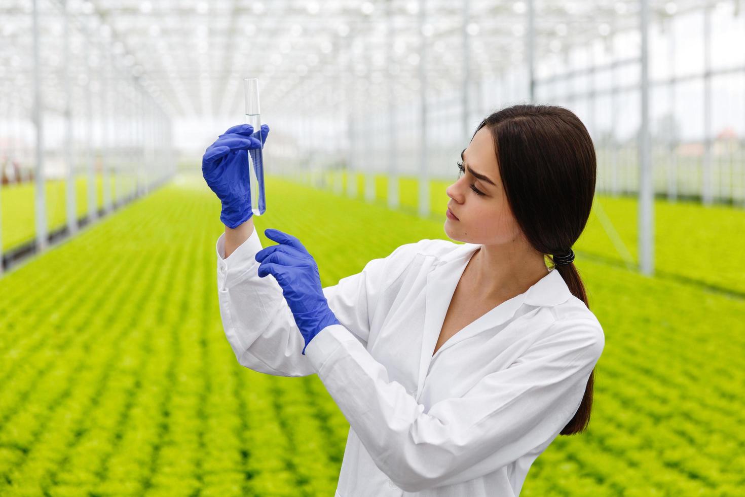 Female researcher holds a glass tube with a sample photo