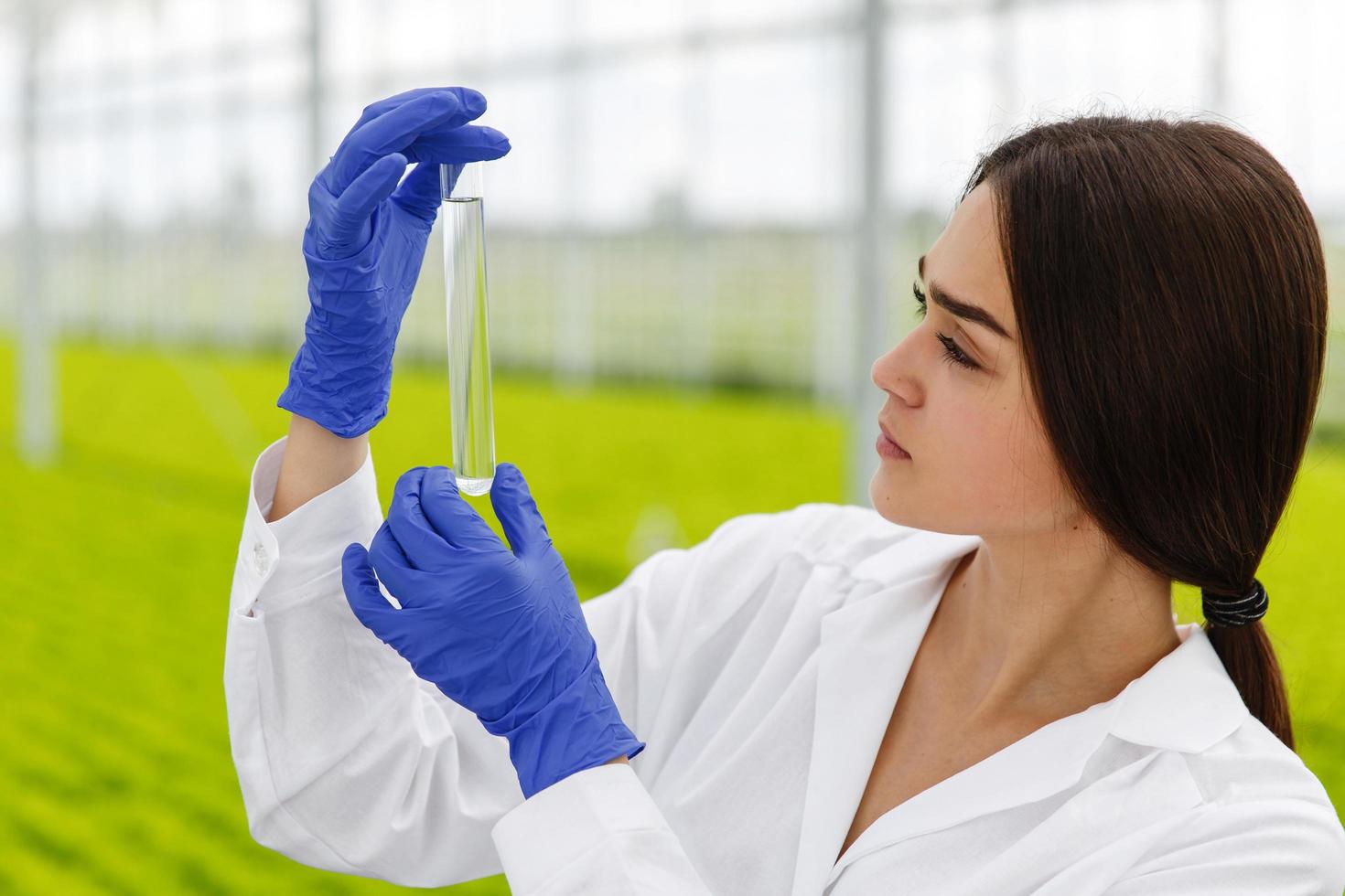 Female researcher holds a glass tube photo