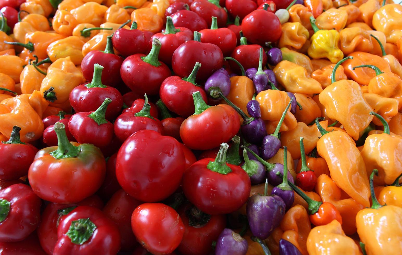 Assorted colorful bell peppers photo