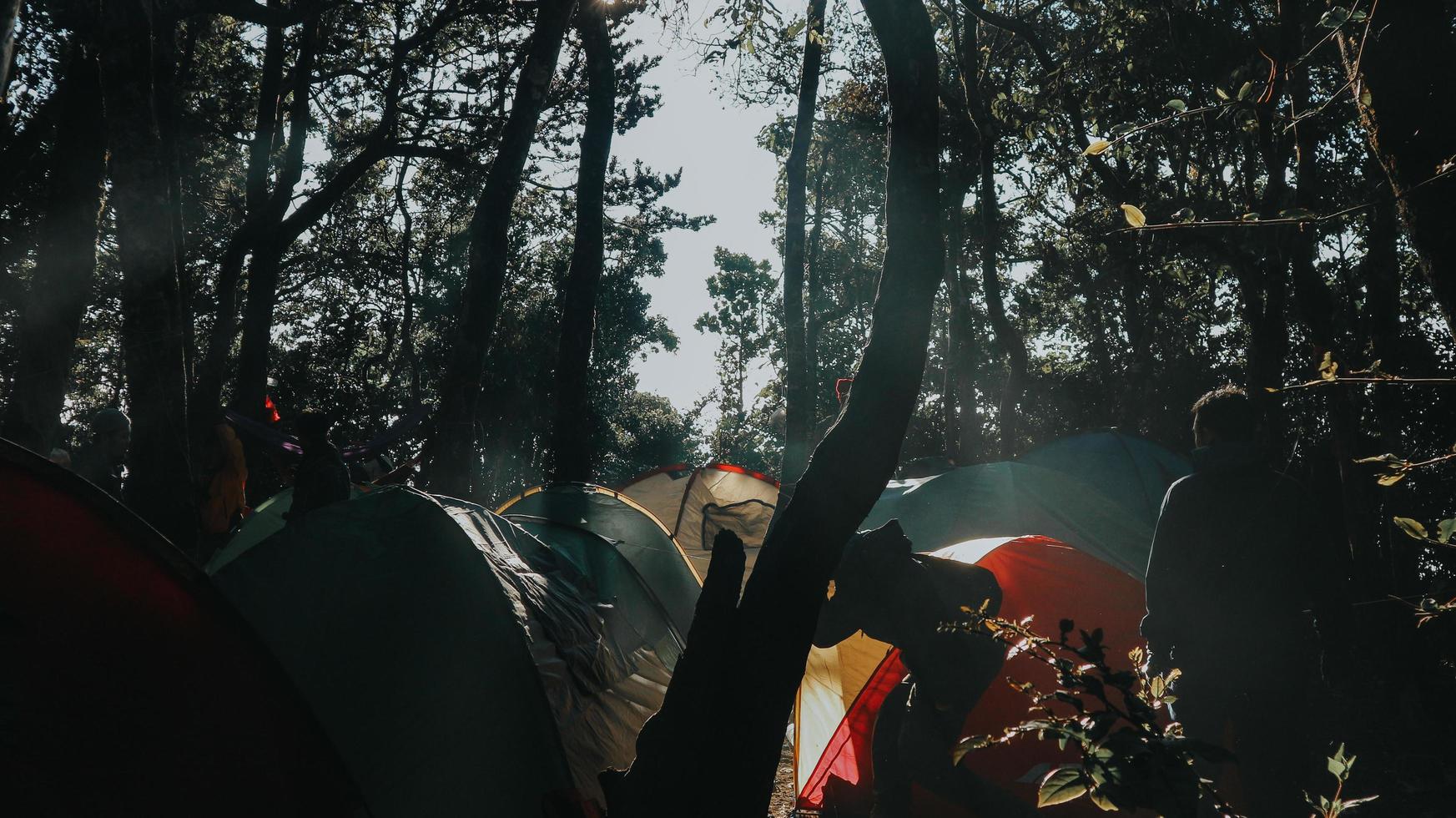 camping en el bosque. foto