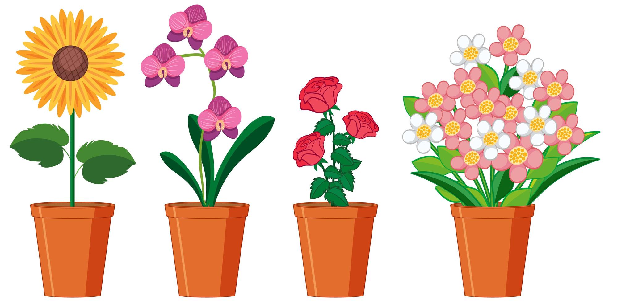 Hermosas flores en macetas sobre fondo blanco. vector