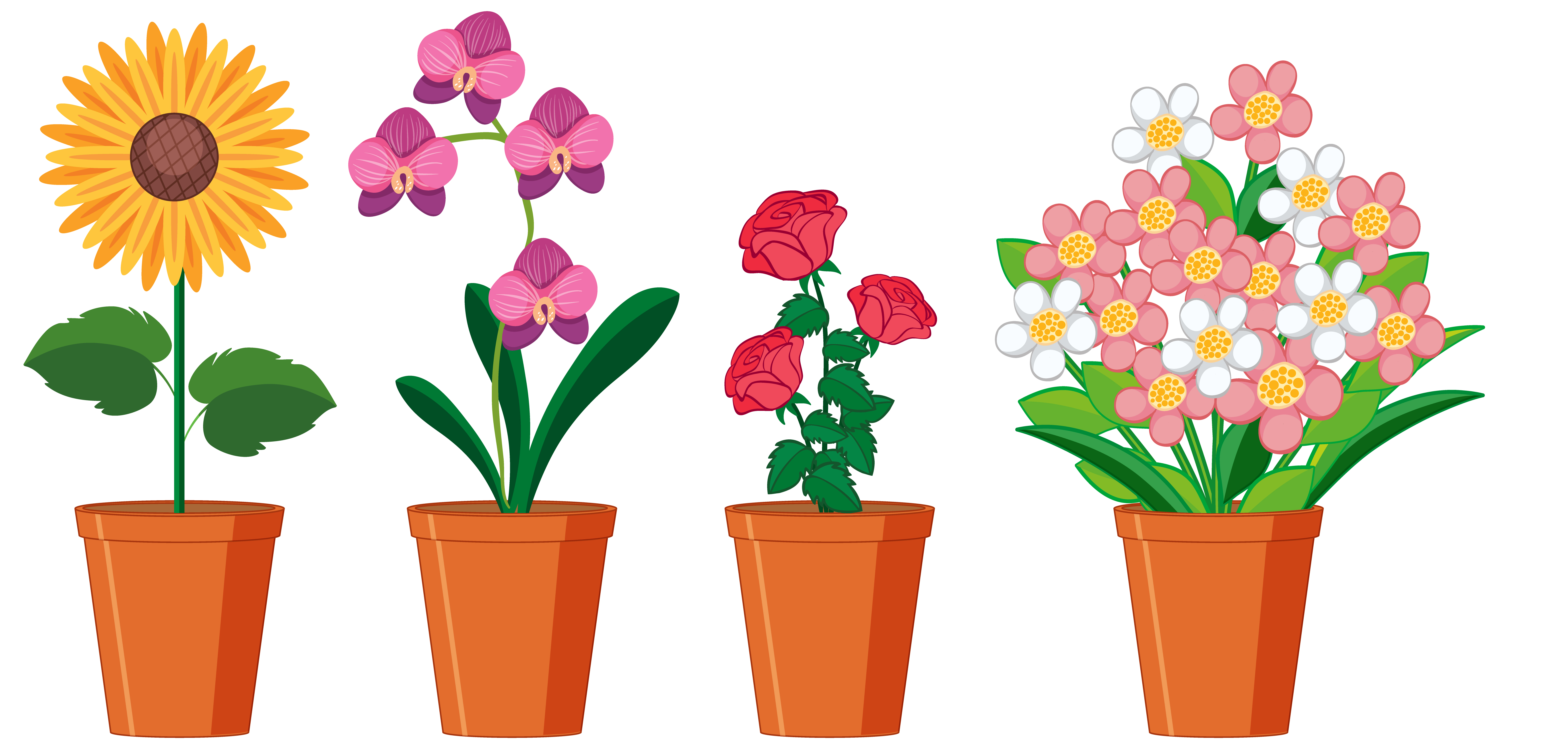 Flower Pot Vector Art, Icons, and Graphics for Free Download
