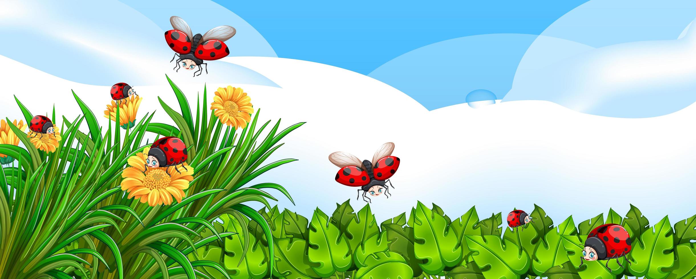 Blank scene with ladybugs in the garden with some flowers at daytime vector