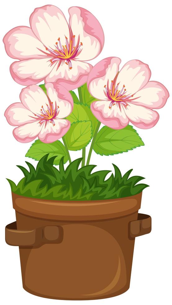 Beautiful flowers in the garden on white background vector