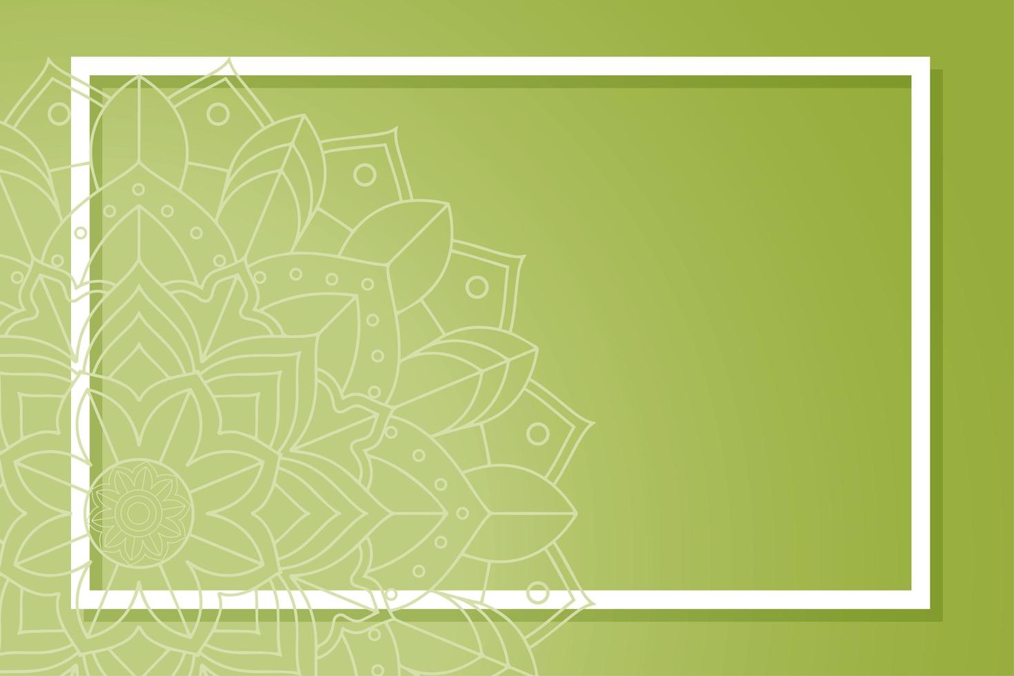 Mandala patterns on green background vector