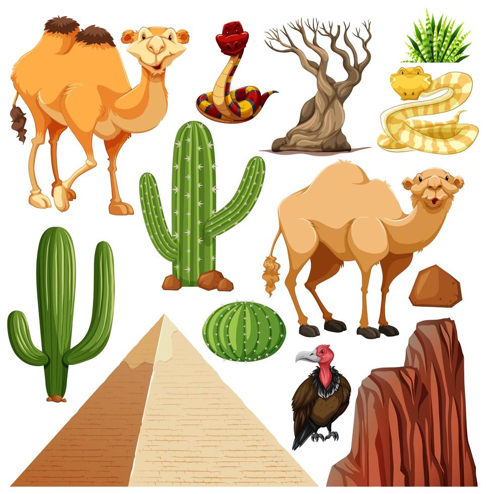 Set of cute desert animal and nature vector