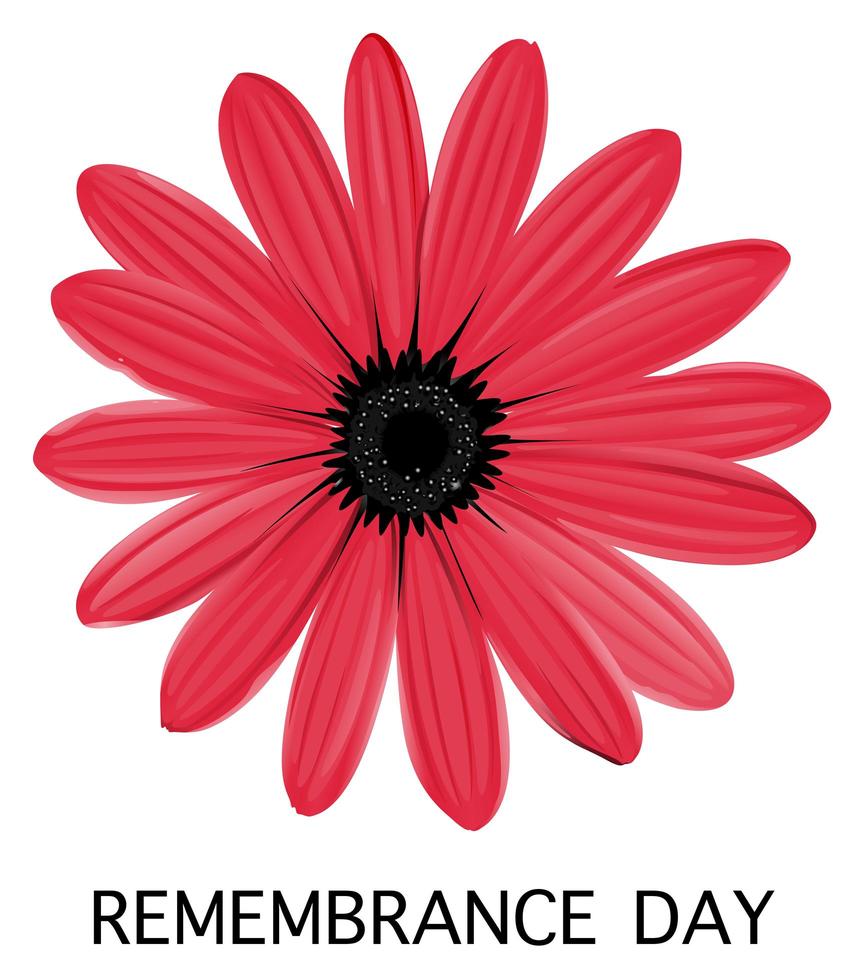 Anzac day on sign on white background vector