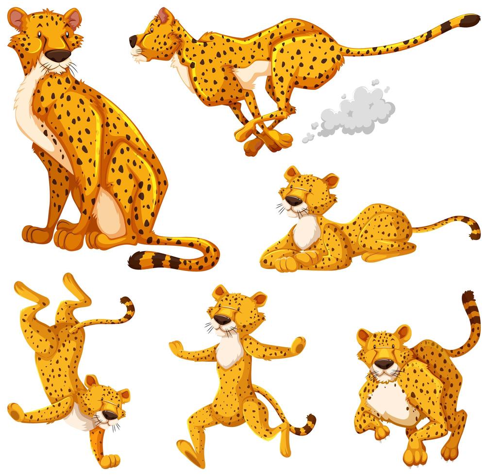 Set of cheetah cartoon character vector