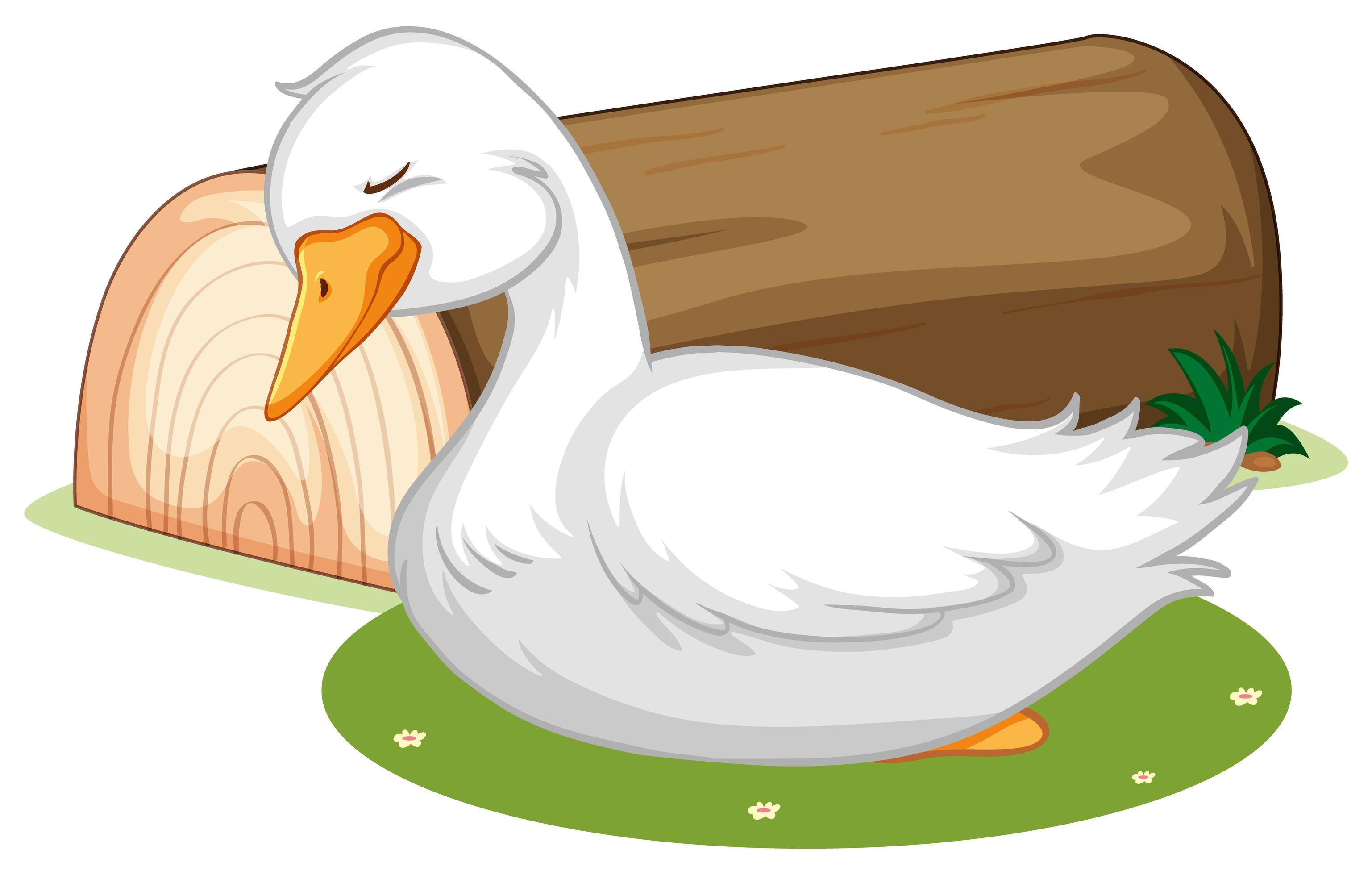 Cute duck sleeping on grass 1500758 Vector Art at Vecteezy