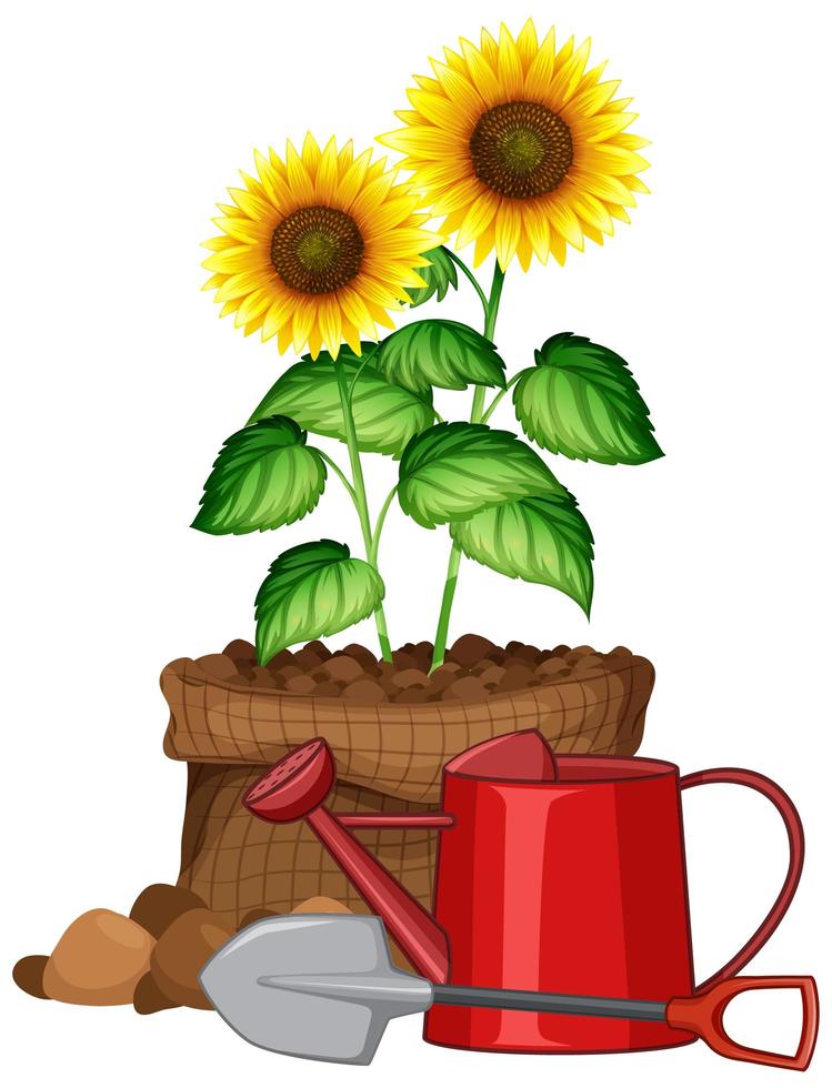 Beautiful flower in brown bag on white background vector