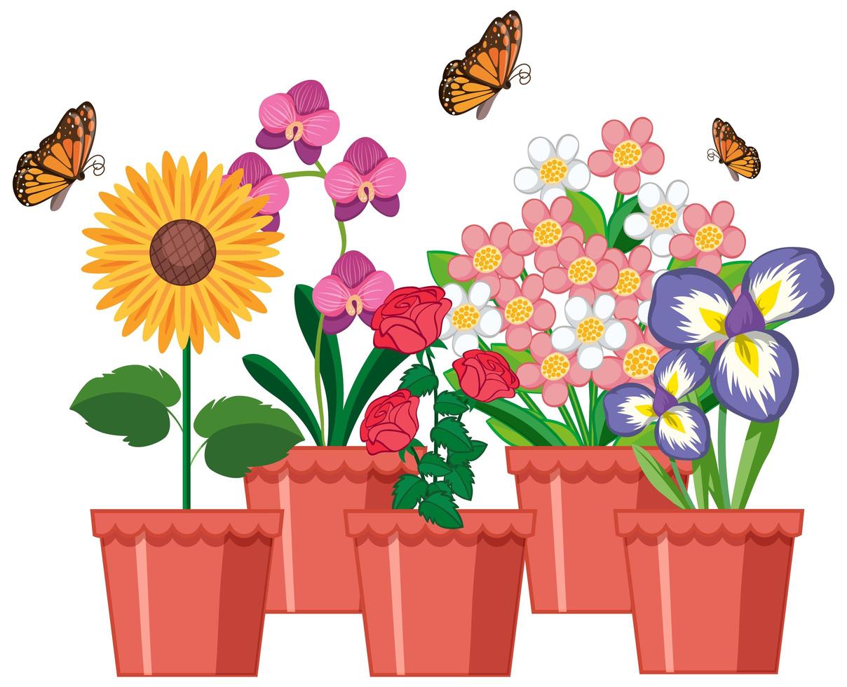 Beautiful flowers in the garden on white background vector