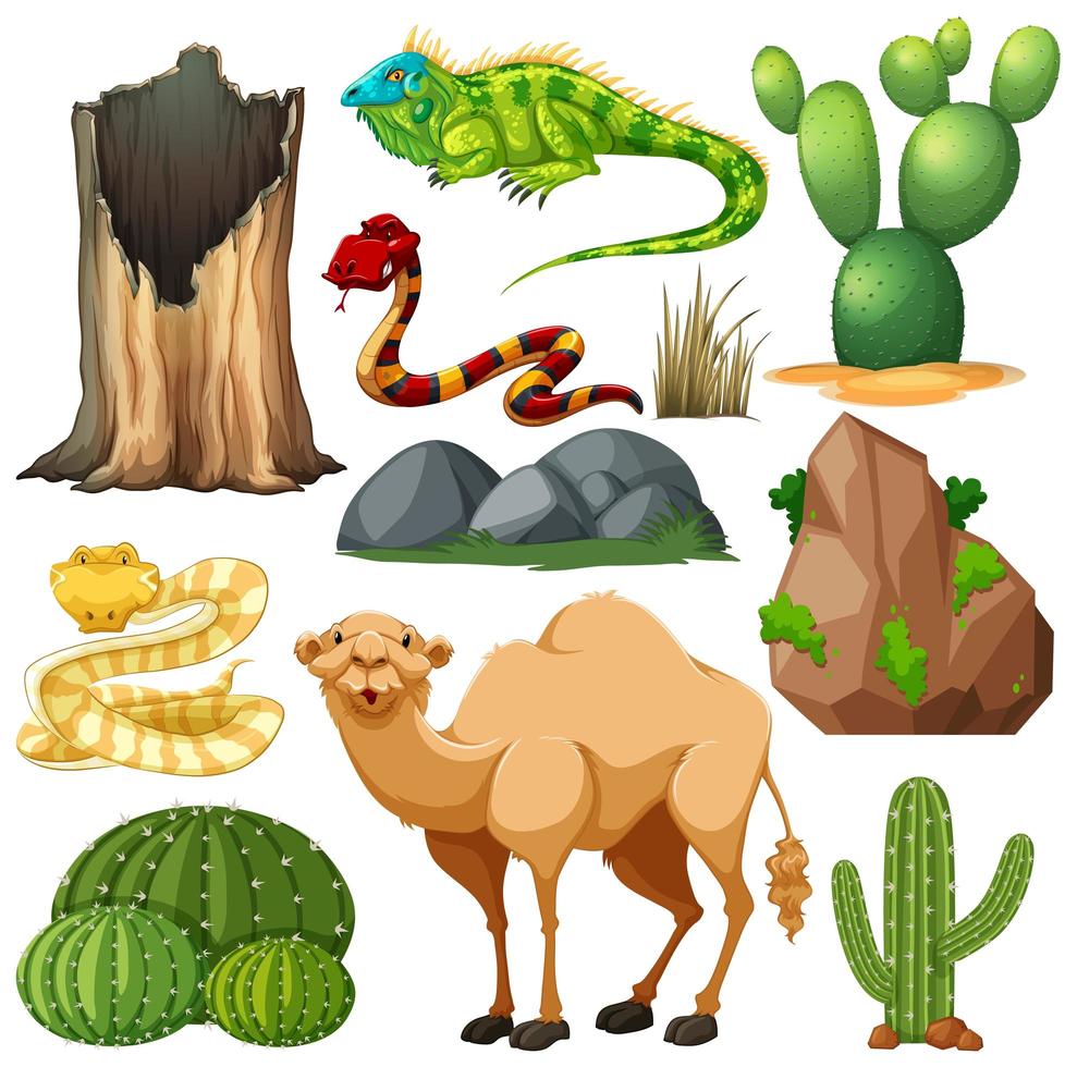 Set of cute desert animal and nature vector